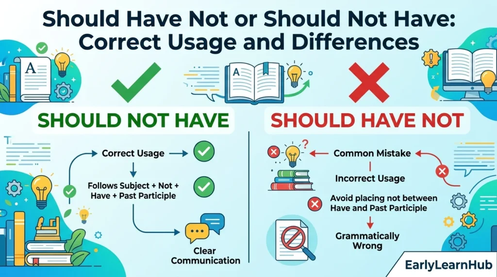 Should Have Not or Should Not Have: Correct Usage